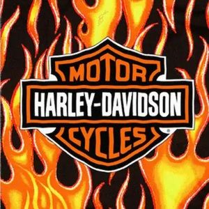 🔥 Reunion Show 🏍️ Harley Show Listing!🦩